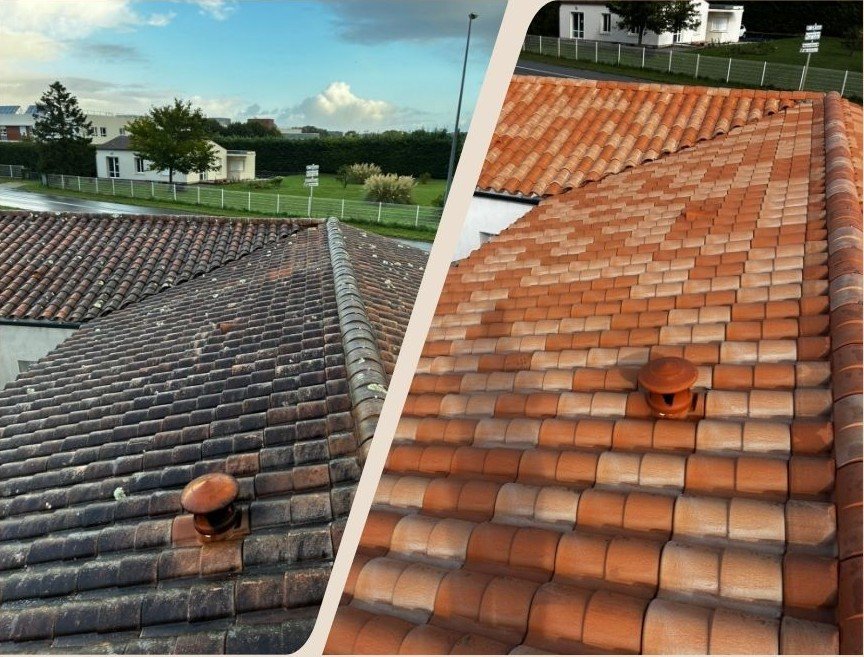 Traitement et démoussage de toiture en tuiles à Surgères en Charente-Maritime (17)